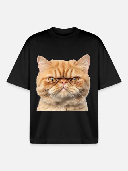 Grumpy Ginger Cat Studio Portrait - Boxy Heavyweight Unisex Organic T-Shirt by Stanley/Stella - black