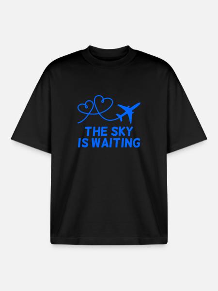Flugzeug Pilot Spruch Geschenk - Boxy Heavyweight Unisex Organic T-Shirt von Stanley/Stella - Schwarz