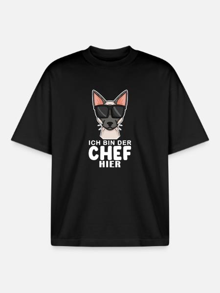 coole Katze - Siamkatze Spruch - Boxy Heavyweight Unisex Organic T-Shirt von Stanley/Stella - Schwarz