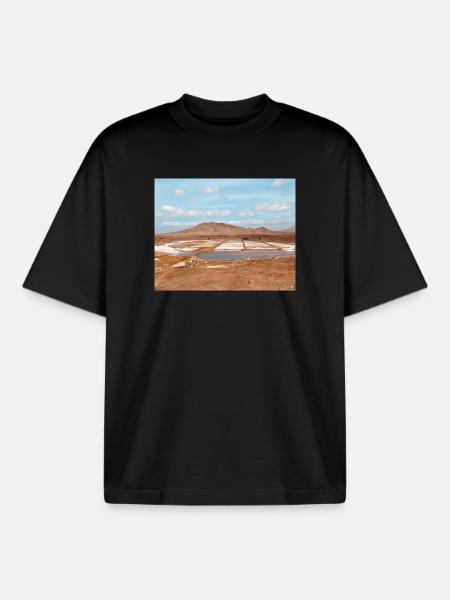 Parcelles de sel du désert - T-shirt unisexe boxy épais biologique Stanley/Stella - noir