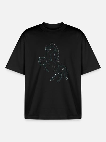 Pferdetraum Sterne Pferd - Boxy Heavyweight Unisex Organic T-Shirt von Stanley/Stella - Schwarz