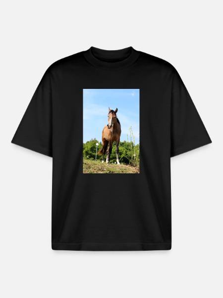 Affiche Cheval Cheval - T-shirt unisexe boxy épais biologique Stanley/Stella - noir