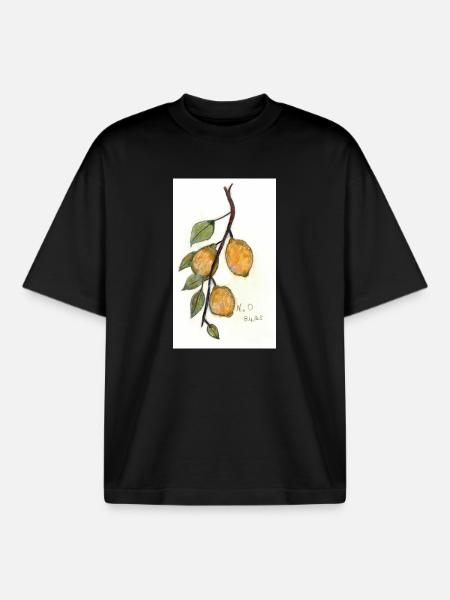 Citronnier - T-shirt unisexe boxy épais biologique Stanley/Stella - noir