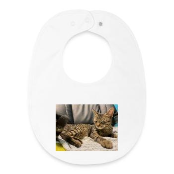 Chat tigre douillet à la lumière - Bavoir bébé bio - blanc - Devant