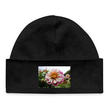 Bee, Honey Stage on Colorful Flower, Dahlia - Baby Organic Beanie - black - Front