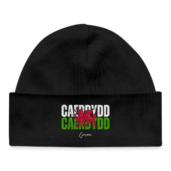 Cardiff Wales, Welsh pride - Baby Organic Beanie - black - Front