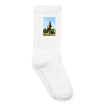 Affiche Cheval Cheval - Chaussettes de tennis bio enfant - blanc - Droite