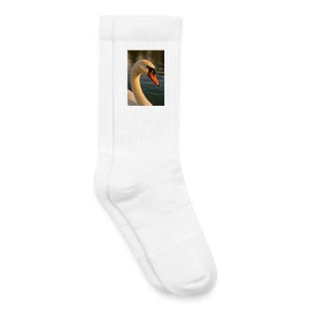 Vogel - Schwan - Kinder Tennissocken - Weiß - Rechts