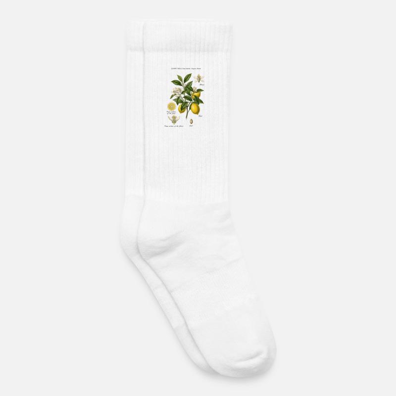 Lemon Tree Vintage Botanischer Ast - Kinder Tennissocken - Weiß
