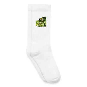 Tukan auf der Bananenstaude in Costa Rica - Kinder Tennissocken - Weiß - Rechts