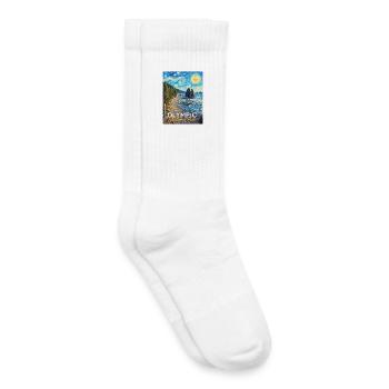 National Park Kunststurm Washington - Kids Tennis Socks - white - Right