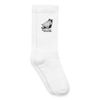 Moppelkat Fat Cat - Kids Tennis Socks - white - Right