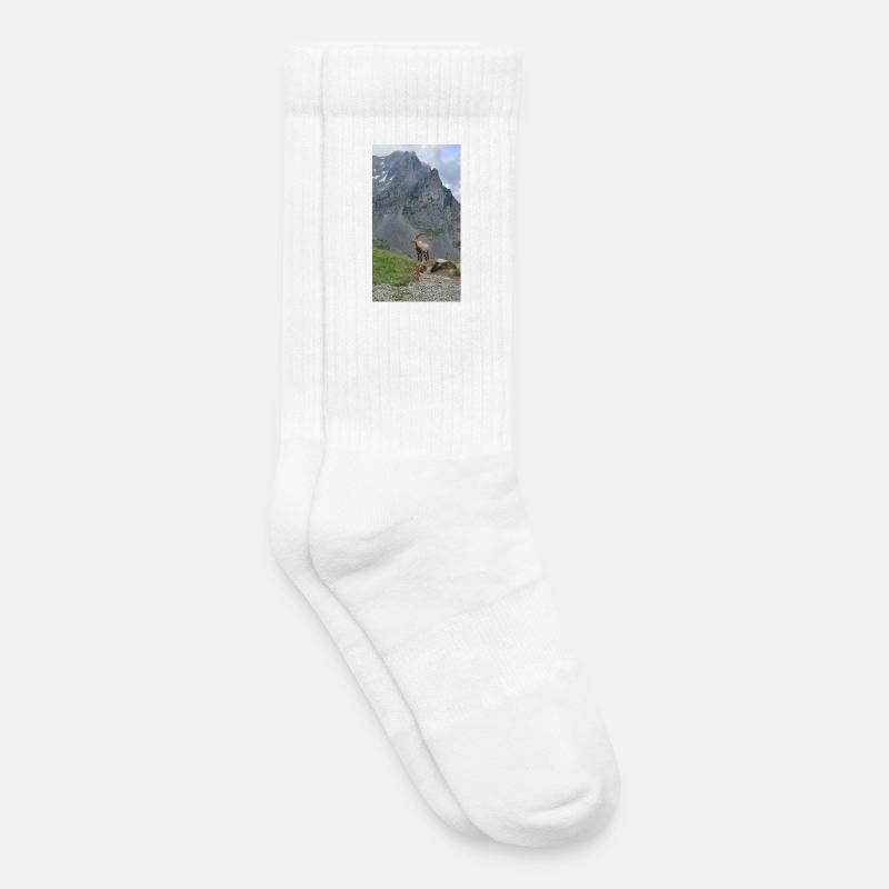 Alpine ibex - Kids Tennis Socks - white