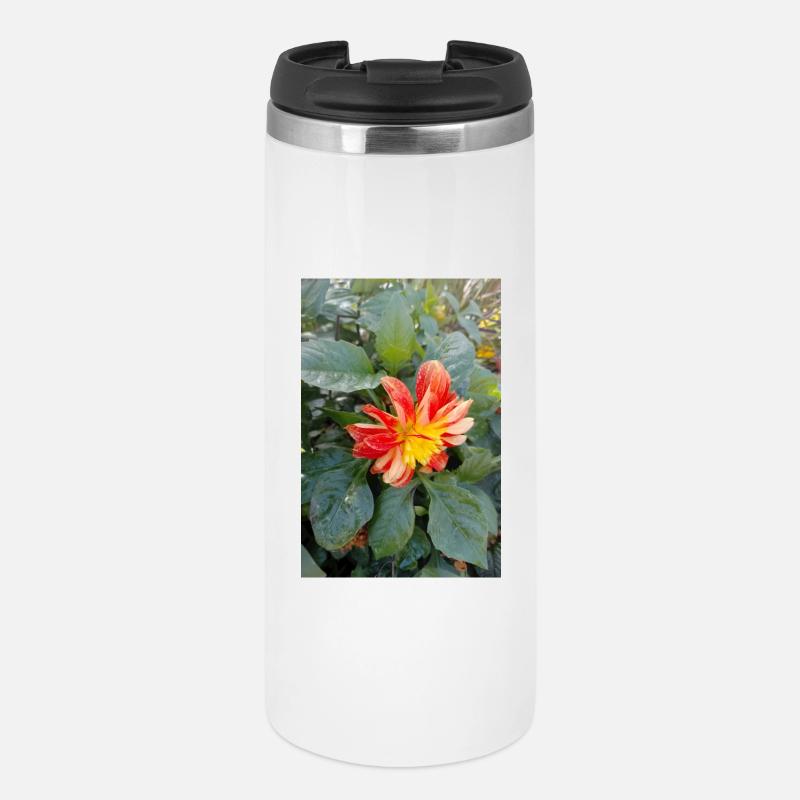 Large-feathered dahlia / Georgine - Thermal Cup - white