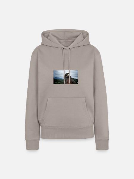 Steinadler auf bergiger Landschaft - Frauen Premium Bio Hoodie - Taupe