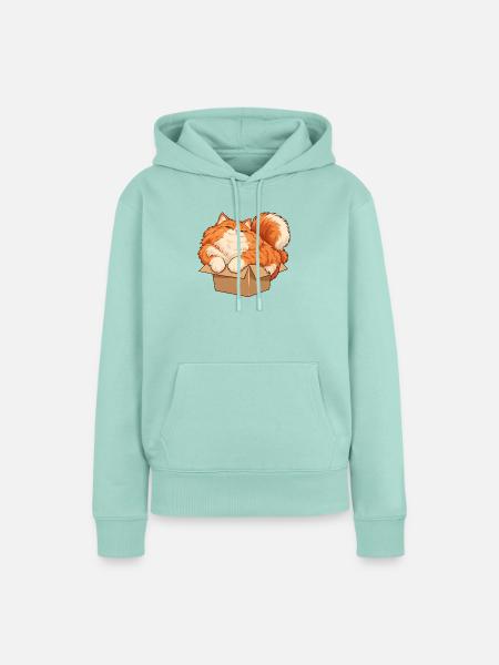 Katze im kleinen Karton - Frauen Premium Bio Hoodie - Mint 