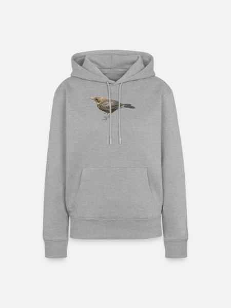 Amsel Jungvogel - Frauen Premium Bio Hoodie - Grau meliert