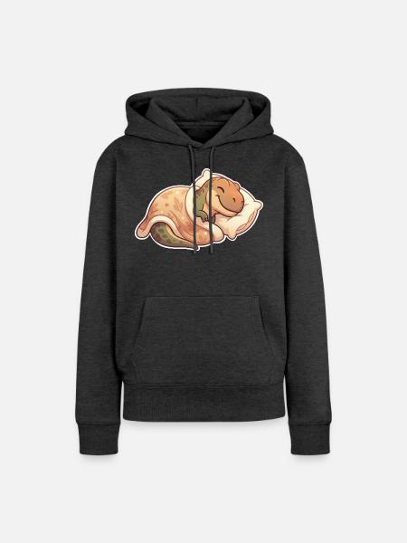 T Rex Schlafen - Frauen Premium Bio Hoodie - Anthrazit meliert