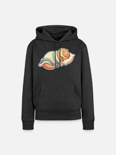 Schlafender Dinosaurier - Frauen Premium Bio Hoodie - Anthrazit meliert