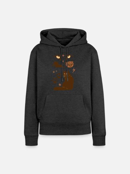 BRUNE KATZEN - Frauen Premium Bio Hoodie - Anthrazit meliert