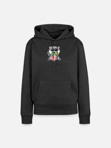 Baby Waschbär - Frauen Premium Bio Hoodie - Anthrazit meliert