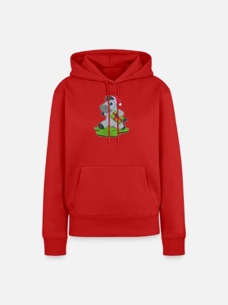 Pferd Weihnachten Paket - Frauen Premium Bio Hoodie - Rot