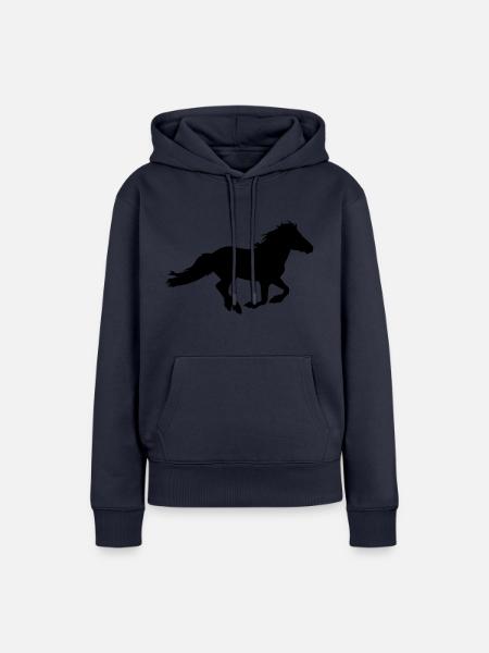Isländer Express - Frauen Premium Bio Hoodie - Navy