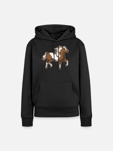 Schecke Pinto Pferd Geschenkidee - Frauen Premium Bio Hoodie - Schwarz