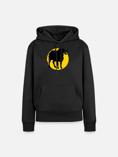 buffalo and moon - Frauen Premium Bio Hoodie - Schwarz