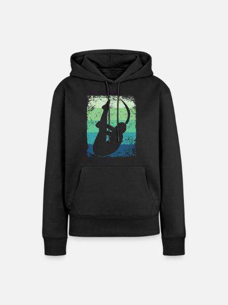 Synchronisierter Wassertaucher High Diver - Frauen Premium Bio Hoodie - Schwarz