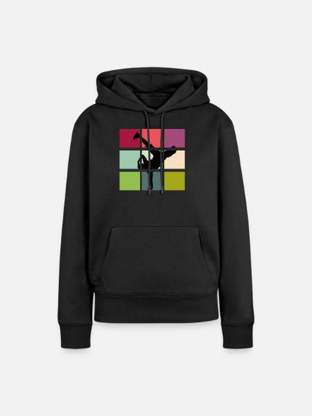 Breakdance breaker retro bboy - Vrouwen Premium Bio hoodie - zwart