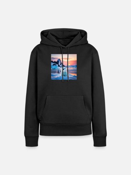 Puuh auf der Eisscholle - Frauen Premium Bio Hoodie - Schwarz