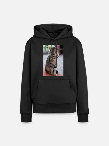 Katze, Kätzchen - Frauen Premium Bio Hoodie - Schwarz