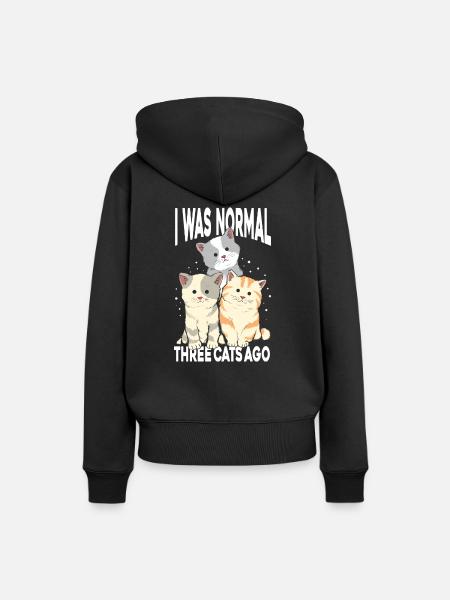 Ich War Normal - Frauen Premium Bio Hoodie - Schwarz