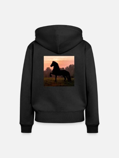 Friesian Morning - Frauen Premium Bio Zip Hoodie - Schwarz