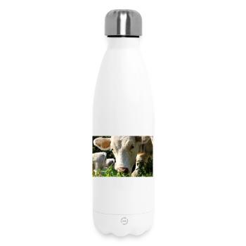 Cow Poster - Insulated Water Bottle 500 ml - white - Front