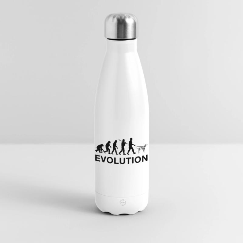 évolution Bouteille isotherme 500 ml