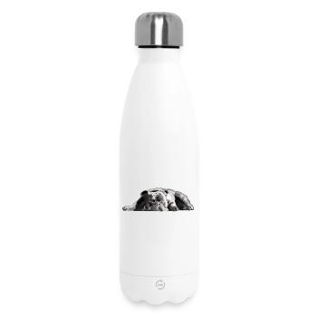 Bulldogge Bulldog - Bouteille isotherme 500 ml - blanc - Devant