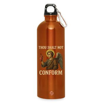 Ange avec bombe aérosol et devis conforme - Gourde en inox avec mousqueton 750 ml - orange - Devant