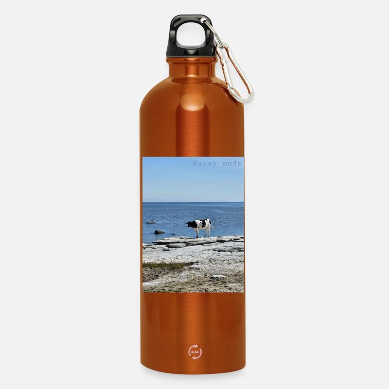 Vacay mode - Water Bottle with carabiner 750 ml - burnt orange