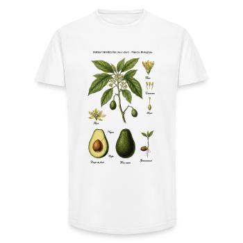 Botanical Board Avocado Tree Nature Study - Long Fit Men's T-Shirt - white - Front - AI Model Male 185 light (185cm)