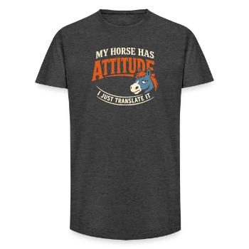 Horse Mood Humor Experienced Horse Owner - Long Fit Men's T-Shirt - charcoal grey - Front - AI Model Male 185 light (185cm)