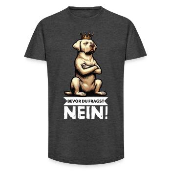Before you ask: No Labrador Labrador owner - Long Fit Men's T-Shirt - charcoal grey - Front - AI Model Male 185 light (185cm)
