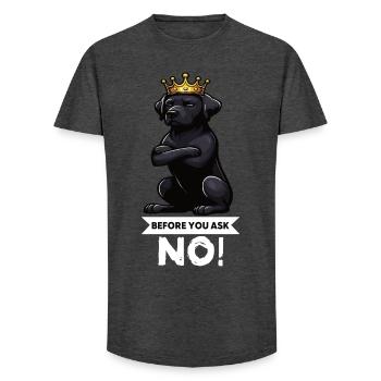 Before You Ask Labrador Labrador Labrador Owner Labrador - Long Fit Men's T-Shirt - charcoal grey - Front - AI Model Male 185 light (185cm)