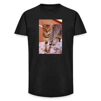 Cat Kitten - Long Fit Men's T-Shirt - black - Front - AI Model Male 185 light (185cm)