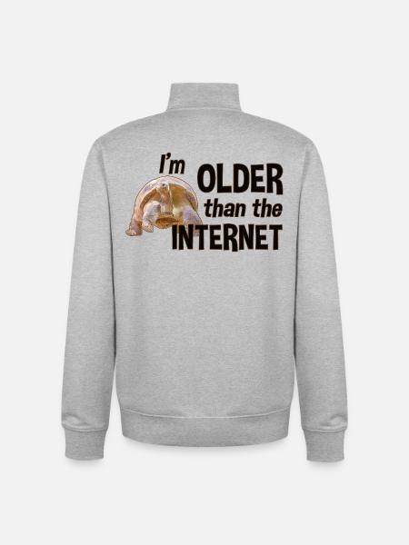 I'm older than the Internet - Turtle - Unisex Organic Zip Sweatshirt by Stanley/Stella - heather grey