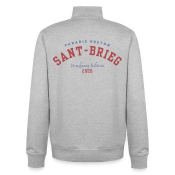 Saint-Brieuc 2025 - Unisex Organic Zip Sweatshirt von Stanley/Stella - Grau meliert - Hinten - AI Model Male 185 light (185cm)