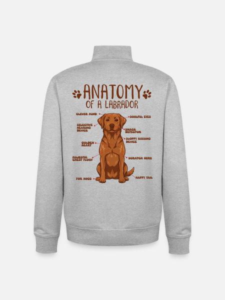 Anatomie d’un Labrador roux renard - Sweat zippé unisexe en coton bio Stanley/Stella - gris chiné