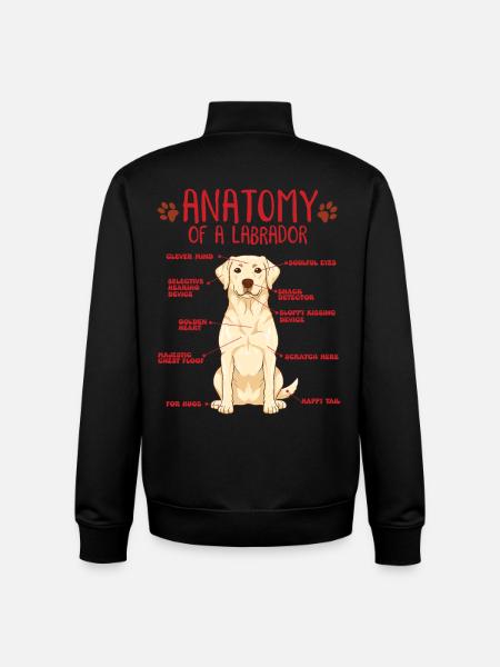 Chemise jaune d’anatomie Labrador - Sweat zippé unisexe en coton bio Stanley/Stella - noir