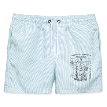 Darss Coast Expedition - historisch - Männer Badeshorts - hellblau gestreift - Vorne - AI Model Male 178 light (178cm)